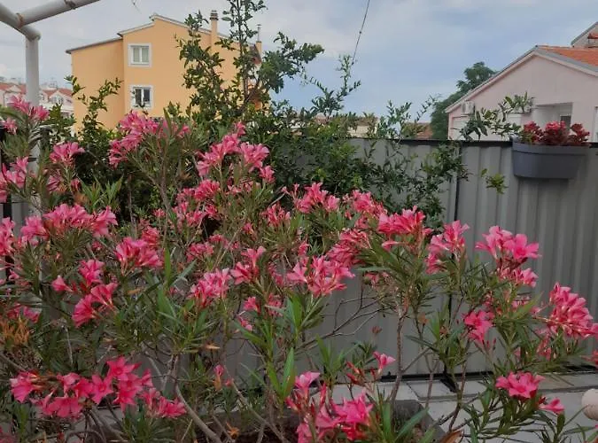 Kuca Za Odmor Emanuela * Vodice